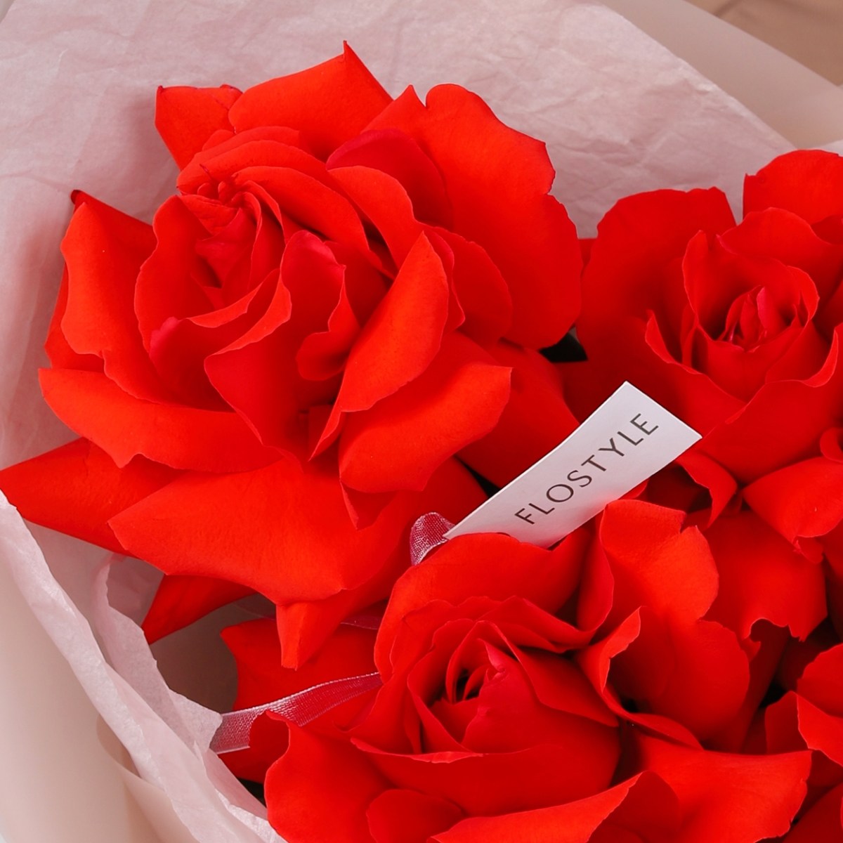 francuzskaya roza krasnaya 7